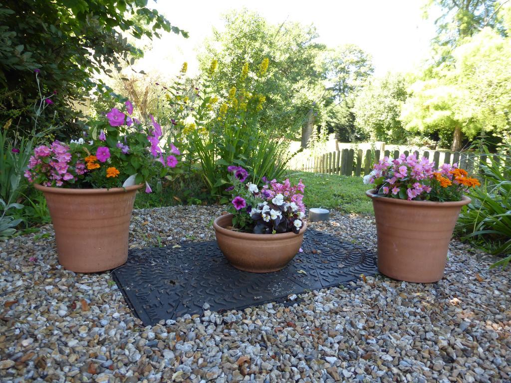 Avon Accommodation Ringwood Εξωτερικό φωτογραφία